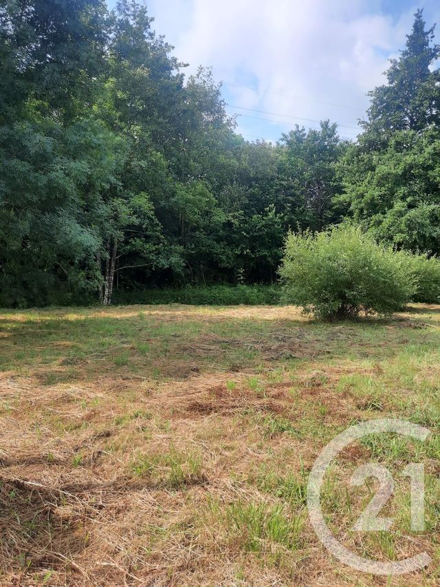 terrain à vendre - 1000.0 m2 - LAHONCE - 64 - AQUITAINE - Century 21 Agence Nivadour