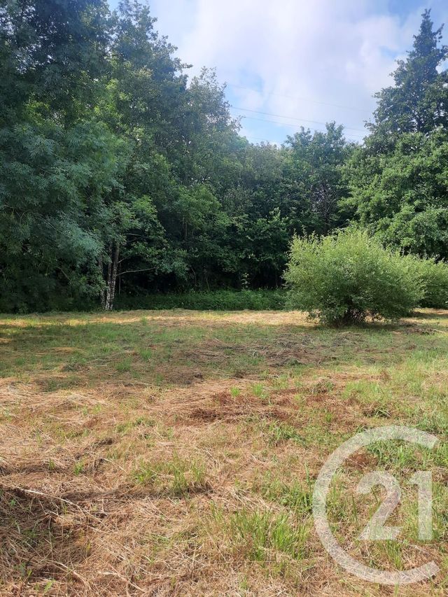 terrain à vendre - 1000.0 m2 - LAHONCE - 64 - AQUITAINE - Century 21 Berritzea