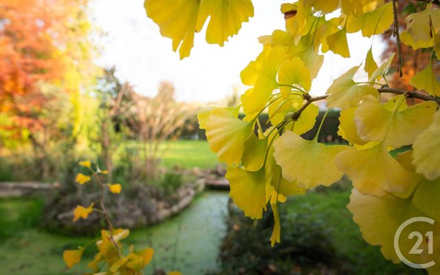 maison à vendre - 7 pièces - 184.15 m2 - BAYONNE - 64 - AQUITAINE - Century 21 Berritzea