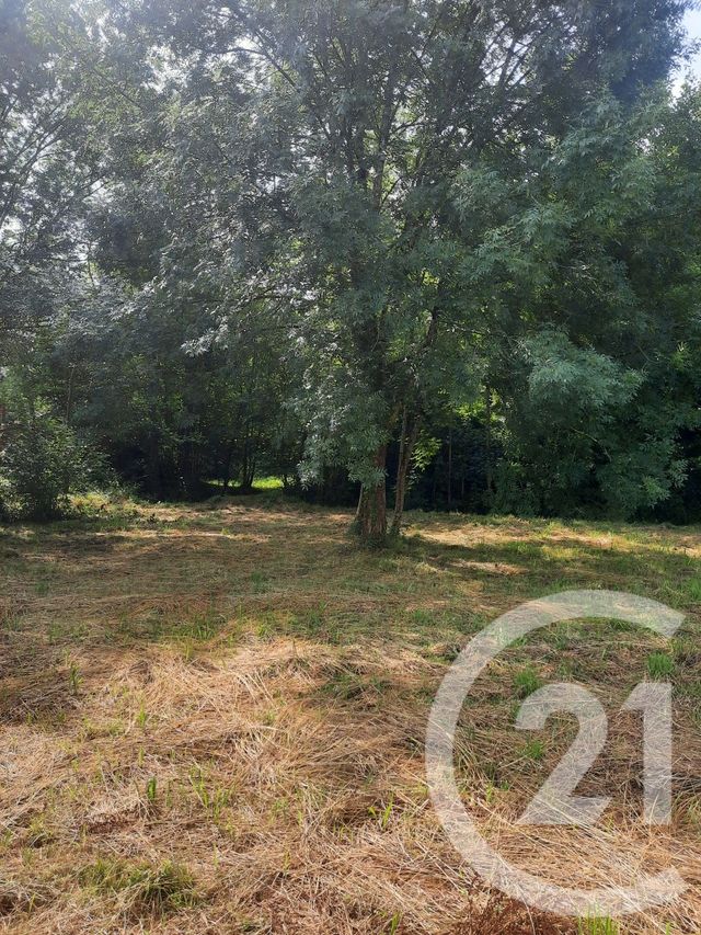 terrain à vendre - 1000.0 m2 - LAHONCE - 64 - AQUITAINE - Century 21 Berritzea