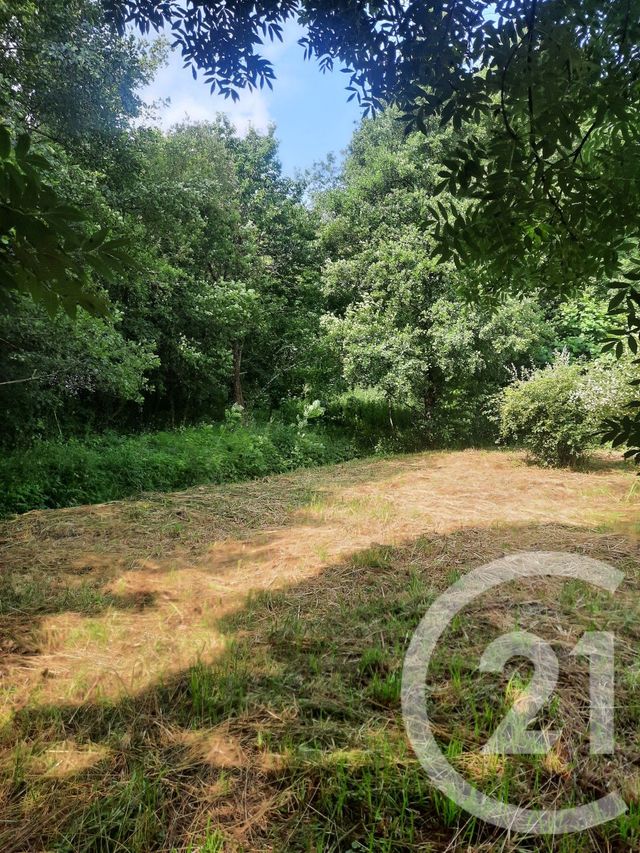 terrain à vendre - 1000.0 m2 - LAHONCE - 64 - AQUITAINE - Century 21 Berritzea