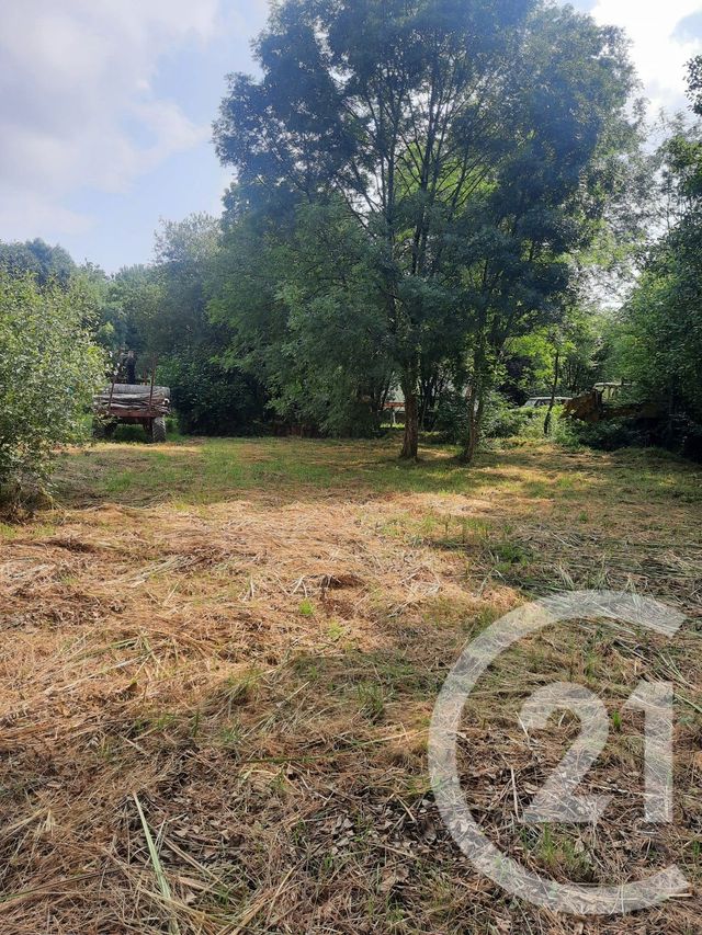 terrain à vendre - 1000.0 m2 - LAHONCE - 64 - AQUITAINE - Century 21 Berritzea