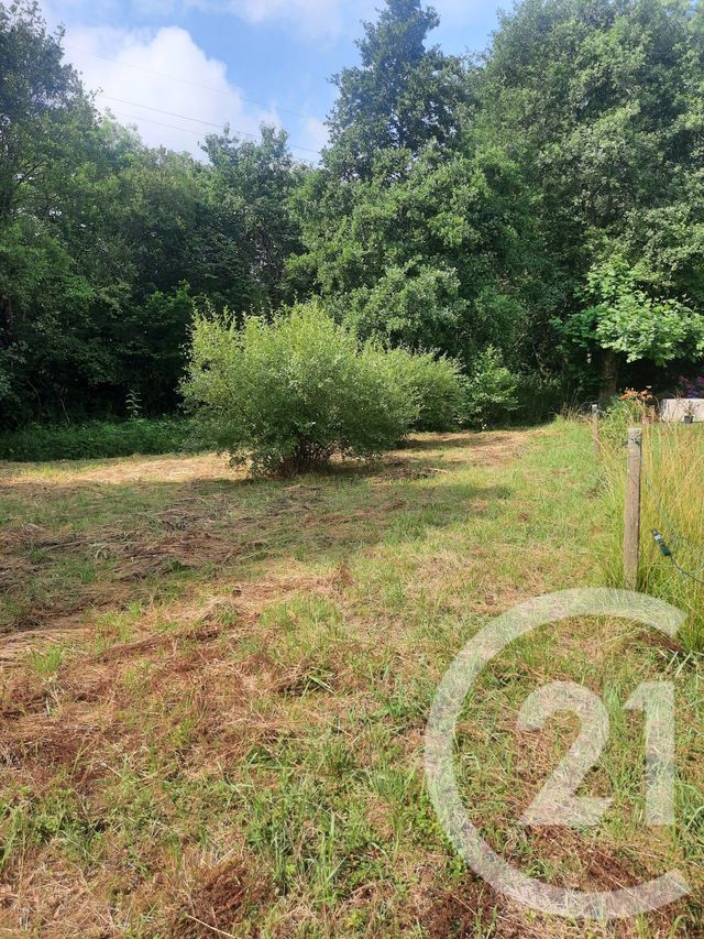 terrain à vendre - 1000.0 m2 - LAHONCE - 64 - AQUITAINE - Century 21 Berritzea