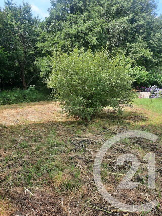 terrain à vendre - 1000.0 m2 - LAHONCE - 64 - AQUITAINE - Century 21 Berritzea