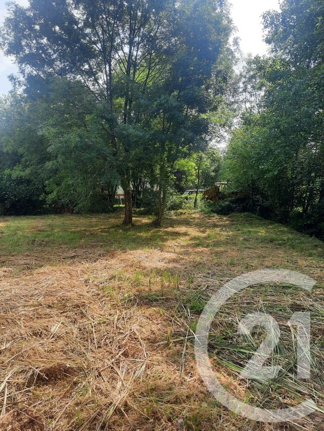 terrain à vendre - 1000.0 m2 - LAHONCE - 64 - AQUITAINE - Century 21 Berritzea