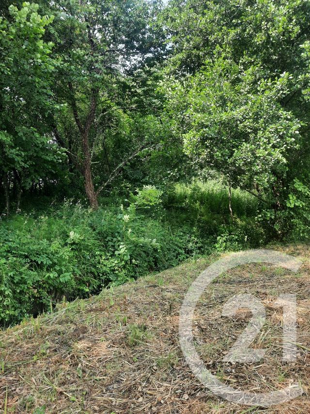 terrain à vendre - 1000.0 m2 - LAHONCE - 64 - AQUITAINE - Century 21 Berritzea