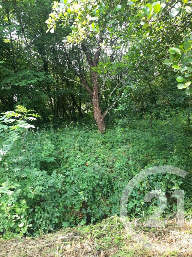 terrain à vendre - 1000.0 m2 - LAHONCE - 64 - AQUITAINE - Century 21 Berritzea